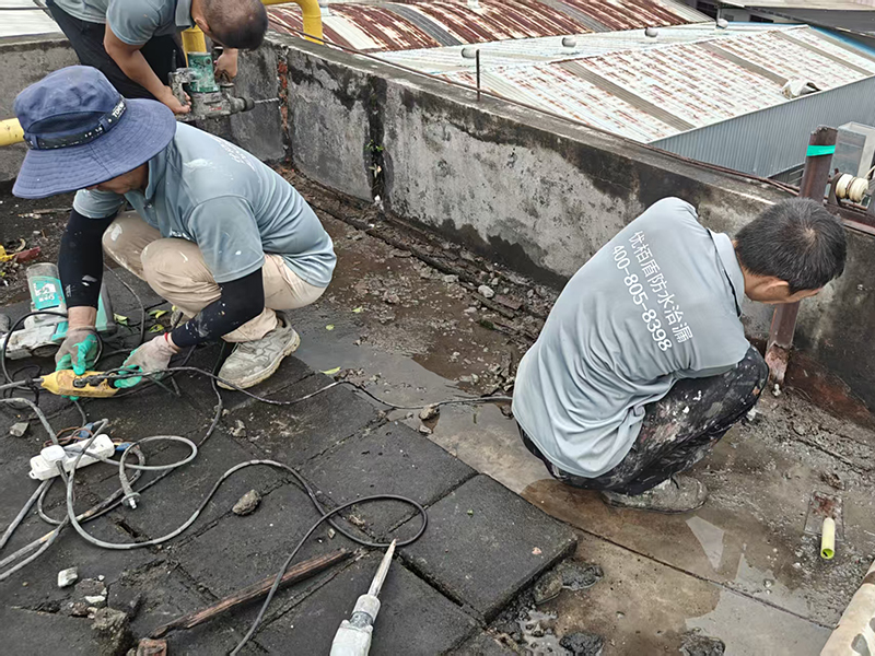 微信圖片_2025-10-14_155149_299 拷貝.jpg